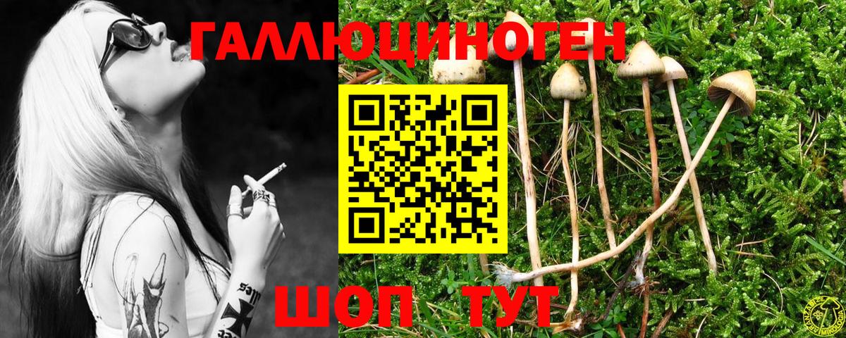 Псилоцибиновые грибы мицелий  Псилоцибиновые грибы Psilocybine cubensis  Добрянка  Вход с VPN 