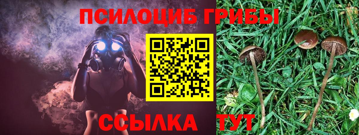 Псилоцибиновые грибы мухоморы Добрянка